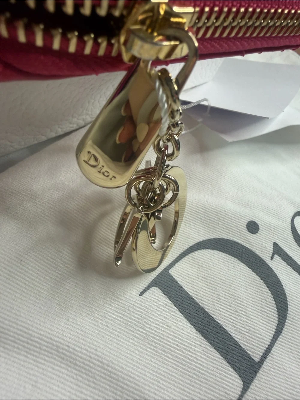 Dior christian lady